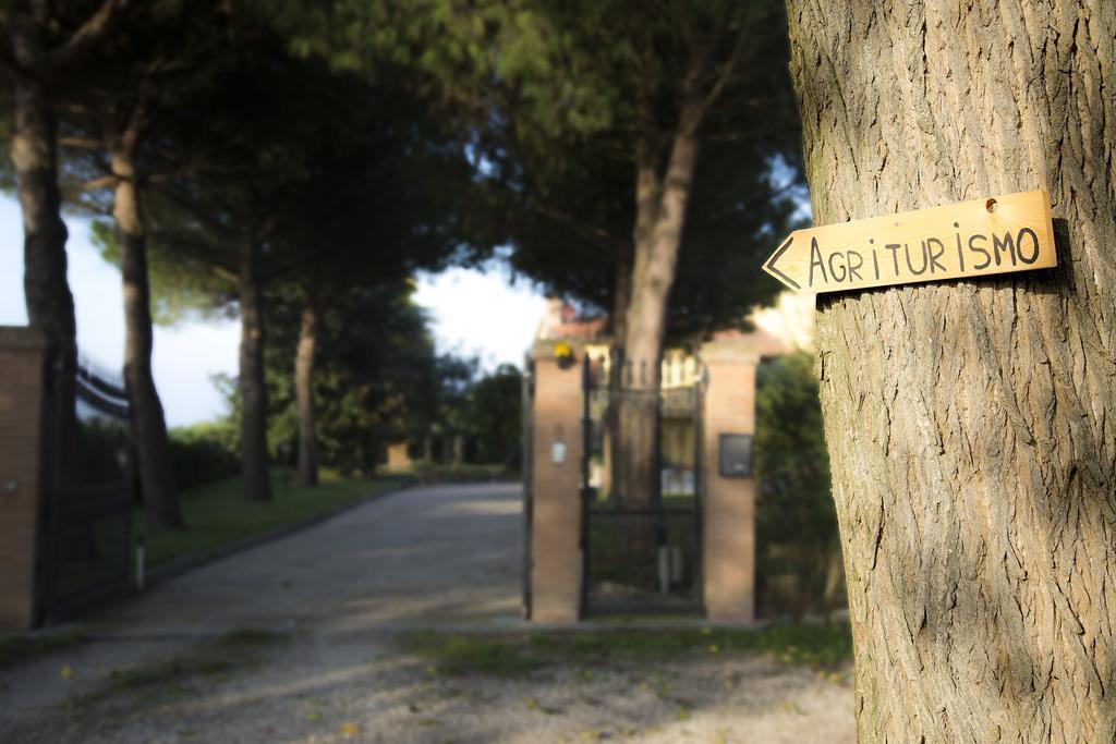 Agriturismo Ae Cavane 코데비고 외부 사진